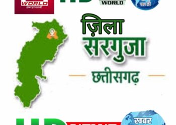 सरगुजा- जानिये जिले के सभी SDM की नवीन पदस्थापना कौन कहा हुए पदस्त