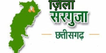 सरगुजा- जानिये जिले के सभी SDM की नवीन पदस्थापना कौन कहा हुए पदस्त