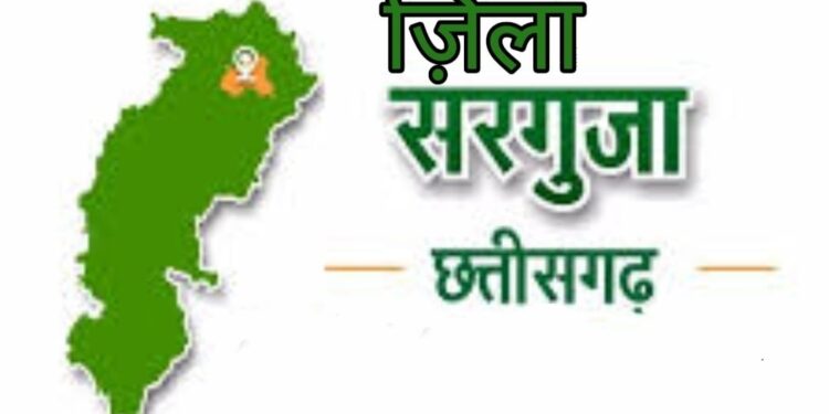 सरगुजा- जानिये जिले के सभी SDM की नवीन पदस्थापना कौन कहा हुए पदस्त